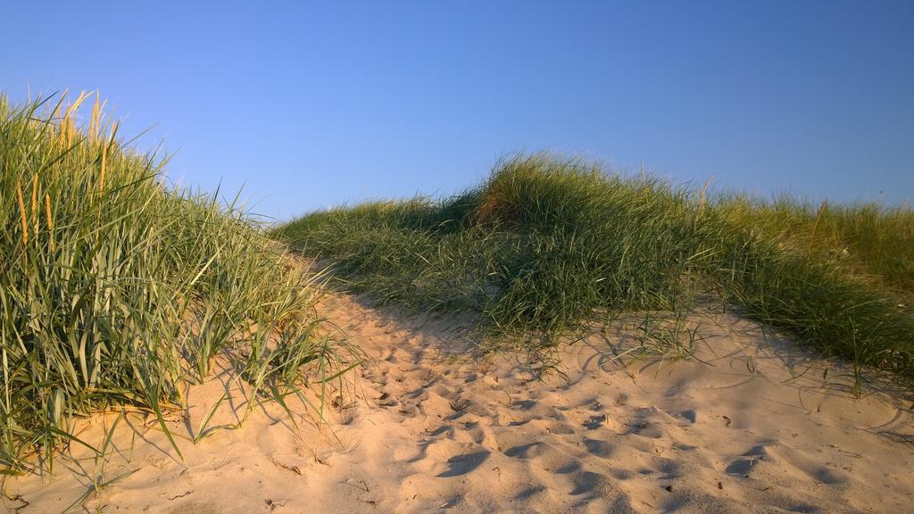 Ostsee Ferienappartement Dierhagen-Strand Extérieur photo